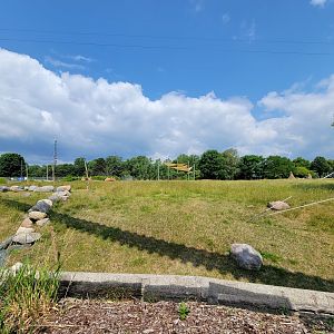 Toledo Zoo, Africa! - Savannah from train