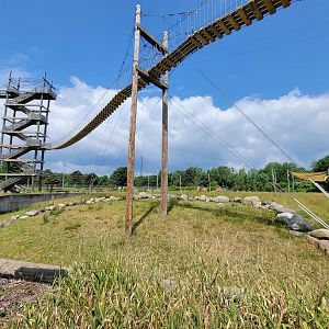 Toledo Zoo, Africa! - Savannah from train, far end of Expedition Africa