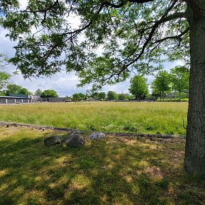Toledo Zoo, Africa! - Savannah from train