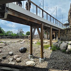 Toledo Zoo, Africa! - Zebra yard from train