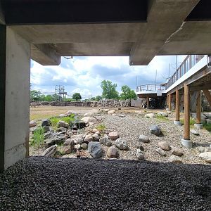 Toledo Zoo, Africa! - Zebra yard from train