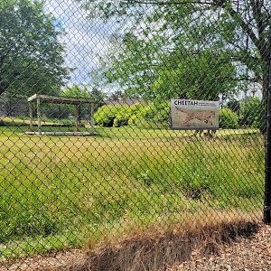 Toledo Zoo, Africa! - One little sign for the cheetahs :(
