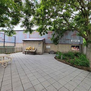 Toledo Zoo, Africa! - Giraffe barn