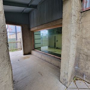 Toledo Zoo, Africa! - Indoor giraffe viewing