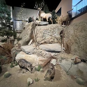 North American Exhibit