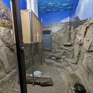 Forest Of The Conservation - Japanese Rock Ptarmigan Exhibit