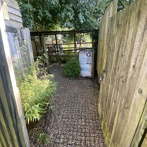 View towards South American tapir and Capybara enclosure 290723