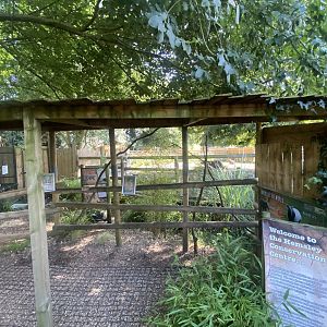 South American tapir and Capybara enclosure 290723