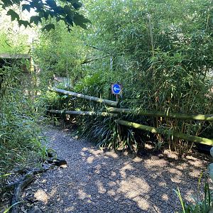 Planting and arrow towards Aardwolf enclosure 290723