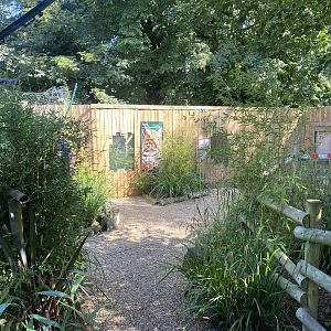 View towards Ocelot enclosure 290723