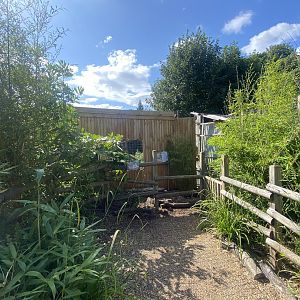 Tayra enclosure 290723