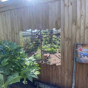 Tayra enclosure 290723