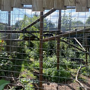 Tayra enclosure 290723