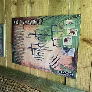 What is an Aardwolf? 290723