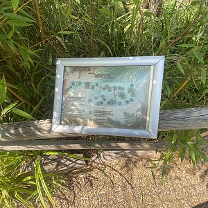 Geoffoy’s cat signage 290723