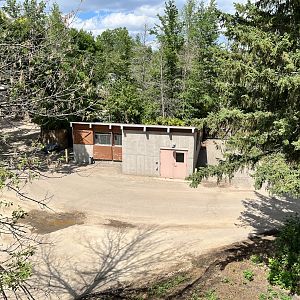 Former Wild Boar Holding From the Treetop Trail