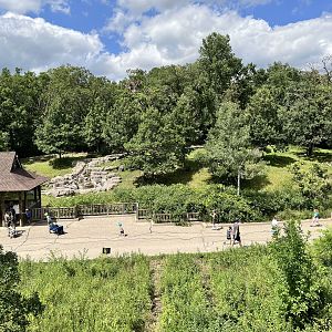 Sichuan Takin Exhibit From the Treetop Trail