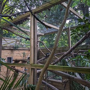 Prevost's Squirrel and Owston's Civet enclosure