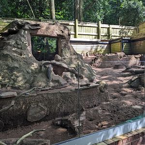 Meerkat enclosure