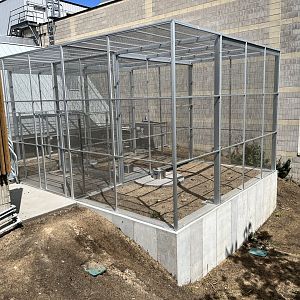 Treetop Trail - Former(?) Off-Exhibit Holding
