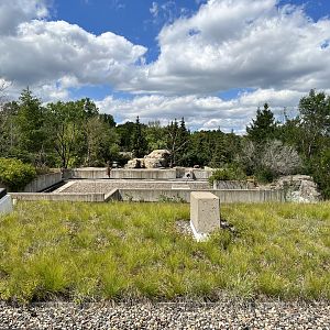 Treetop Trail - Grizzly Bear Exhibit from the Treetop Trail