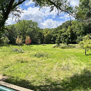 Northern Trail - Domestic Reindeer Exhibit