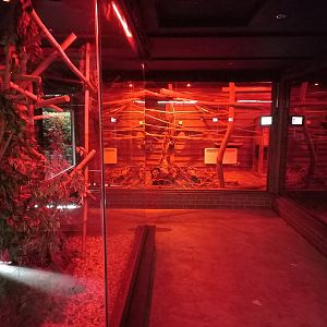 Nocturnal House - General view