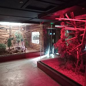 Nocturnal House - General view