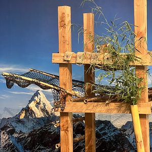 Red Panda Indoor Exhibit