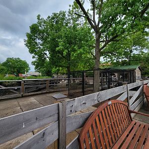 Toledo Zoo - Barnyard