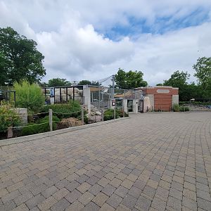Toledo Zoo - Penguin Beach