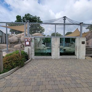 Toledo Zoo - Penguin Beach