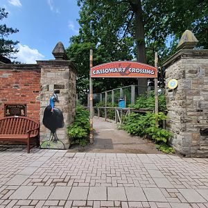 Toledo Zoo - Cassowary Crossing, Skeldon Plaza