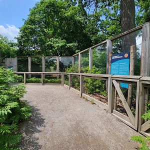 Toledo Zoo - Cassowary Crossing, Skeldon Plaza