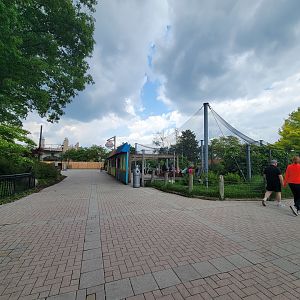 Toledo Zoo - Flamingo Key