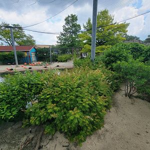Toledo Zoo - Flamingo Key