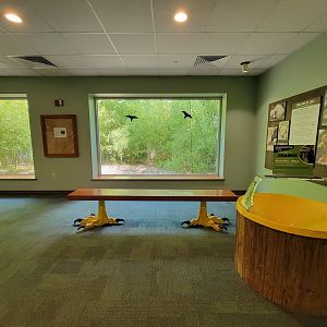 Toledo Zoo, Aviary - Southern pudu exhibit