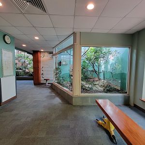 Toledo Zoo, Aviary - Entry exhibits