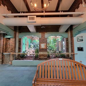 Toledo Zoo, Aviary - Andean cock-of-the-rock exhibit