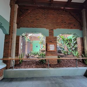 Toledo Zoo, Aviary - Andean cock-of-the-rock exhibit side view