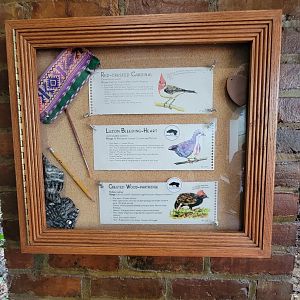 Toledo Zoo, Aviary - Signage example