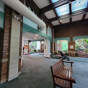 Toledo Zoo, Aviary - Looking back to rhinoceros hornbill, Andean cock-of-the-rock exhibits