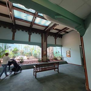 Toledo Zoo, Aviary - Chevrotain exhibit