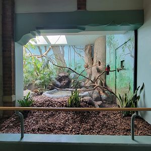 Toledo Zoo, Aviary - Chevrotain exhibit