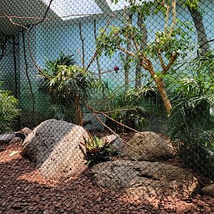 Toledo Zoo, Aviary - Chevrotain exhibit