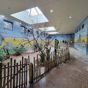 Toledo Zoo, Aviary - Australian Grasslands