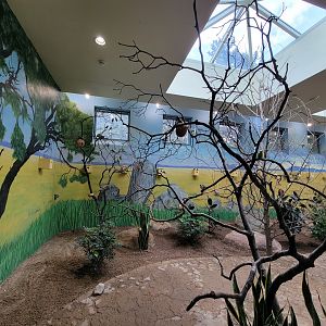 Toledo Zoo, Aviary - Australian Grasslands