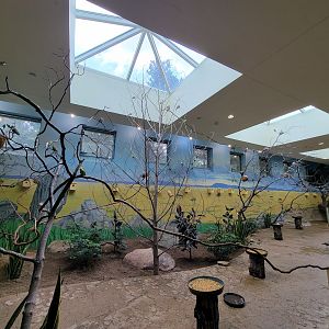 Toledo Zoo, Aviary - Australian Grasslands