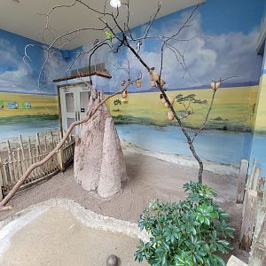 Toledo Zoo, Aviary - Australian Grasslands