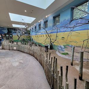 Toledo Zoo, Aviary - Australian Grasslands, looking back